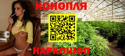 Альфа ПВП Балашиха
