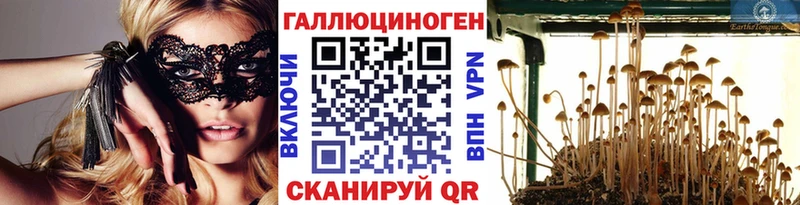 Псилоцибиновые грибы прущие грибы Бугульма