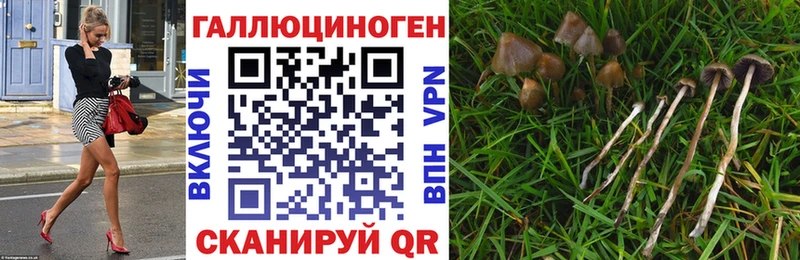 купить закладку  Бугульма  Галлюциногенные грибы мухоморы 