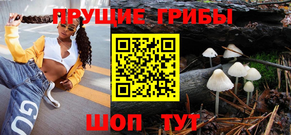 Псилоцибиновые грибы GOLDEN TEACHER Бугульма