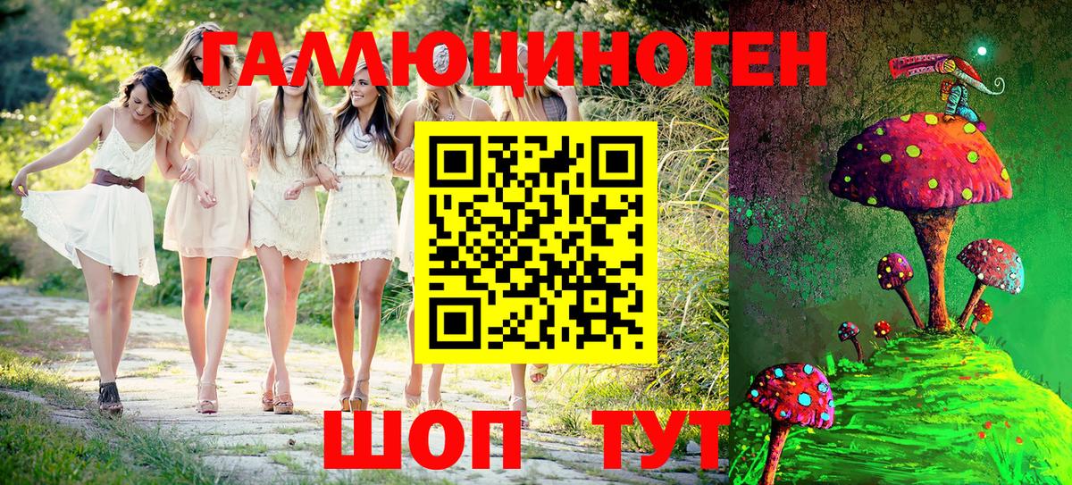 Псилоцибиновые грибы Psilocybe Бугульма