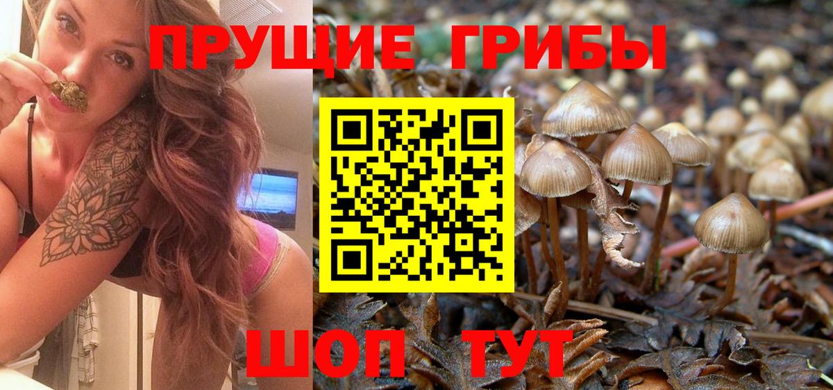 Галлюциногенные грибы MAGIC MUSHROOMS  Вход с VPN  Бугульма 