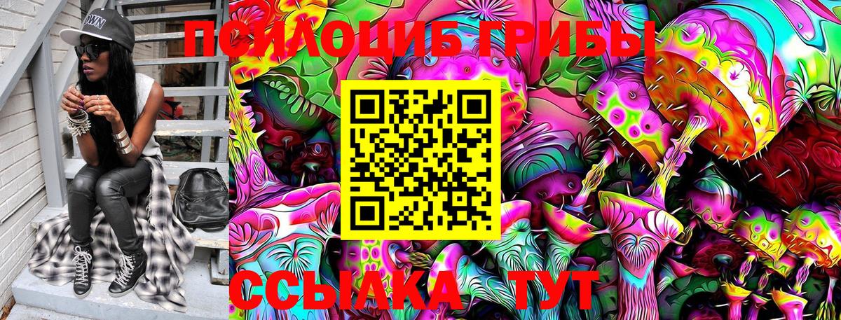 Галлюциногенные грибы Magic Shrooms  Бугульма 